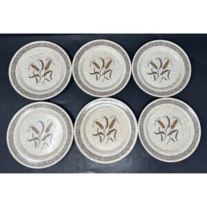 6 HOMER LAUGHLIN COUNTRY WHEAT 7" Plates Table Fair Homestead Harlequin Speckled
